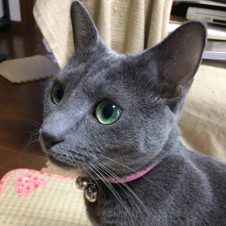 5b585491 d6e9 4947 8c4e 9afcc528fe18