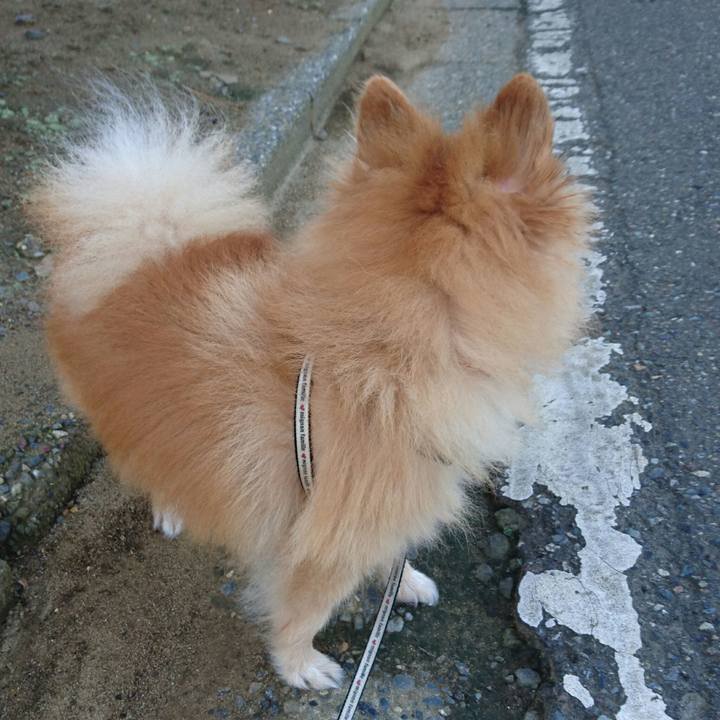 5b593d25 e99c 4553 9255 f61bf0ba92d9