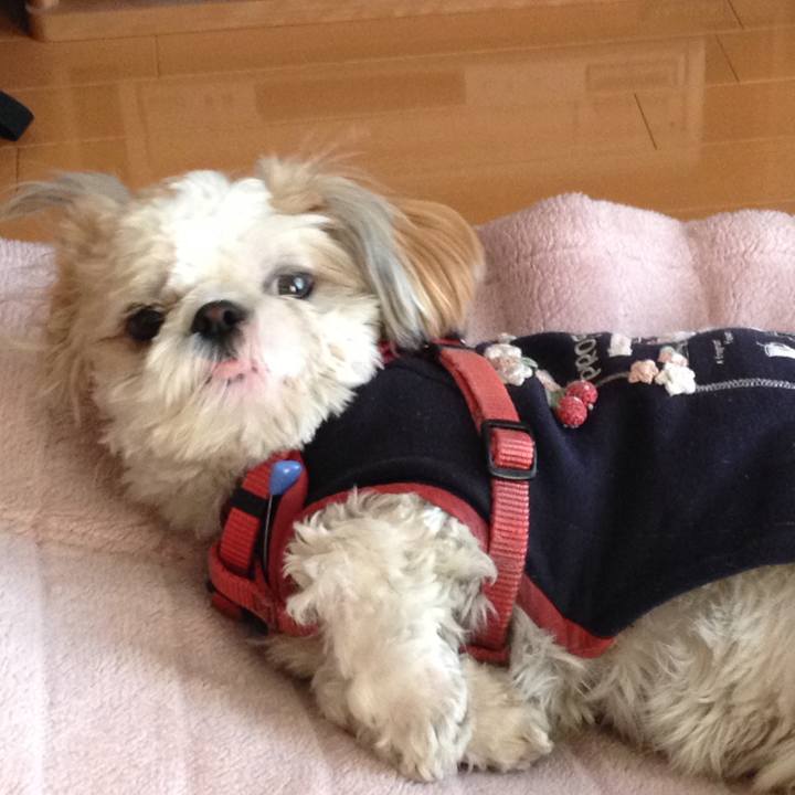 5b59bc36 9655 49a4 8970 623cd25bb5bc