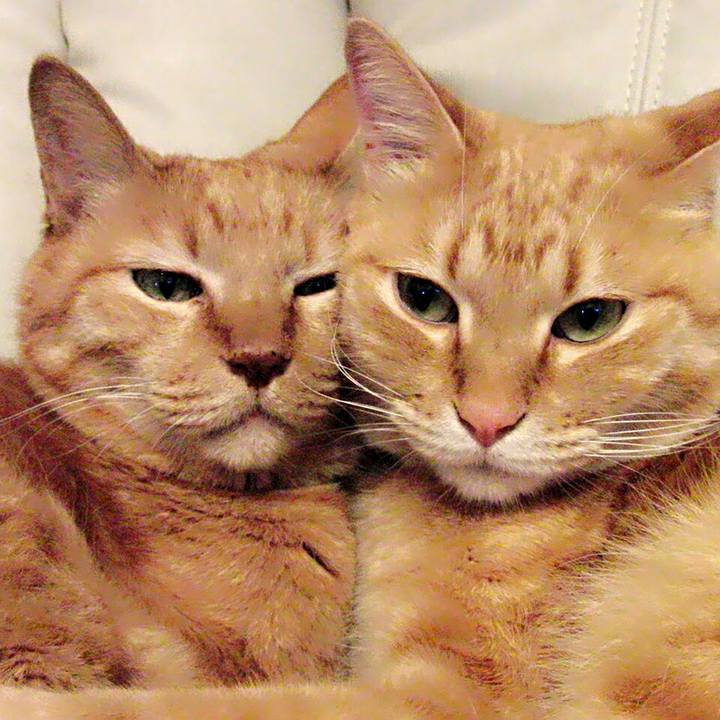 5b59f35c c26b 4d4a 9e38 2dce03037ec4