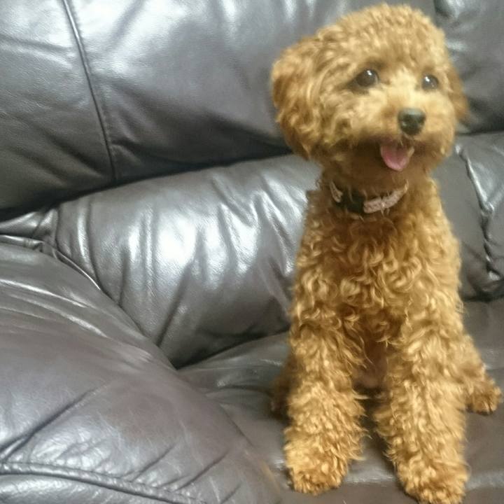 5b5a5c0c 8f33 4fdf 9681 15f2d730f725