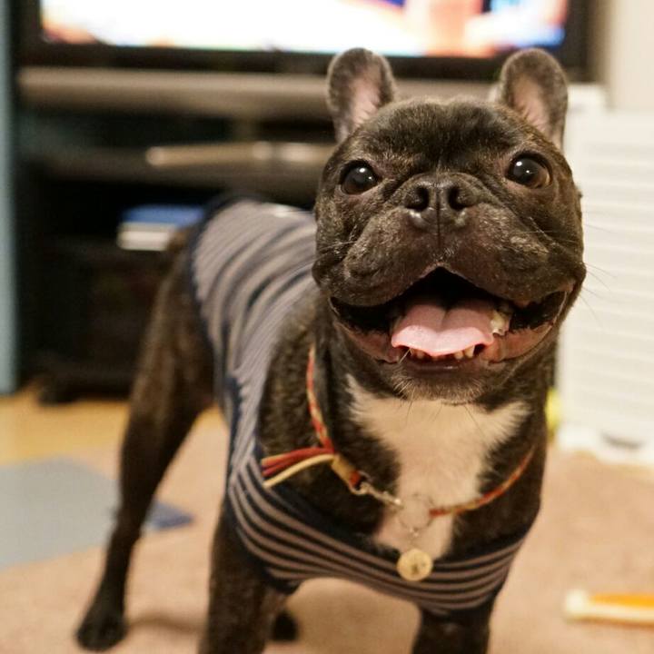 5b5ab48e 9a8f 4a88 af19 e422147dcf19