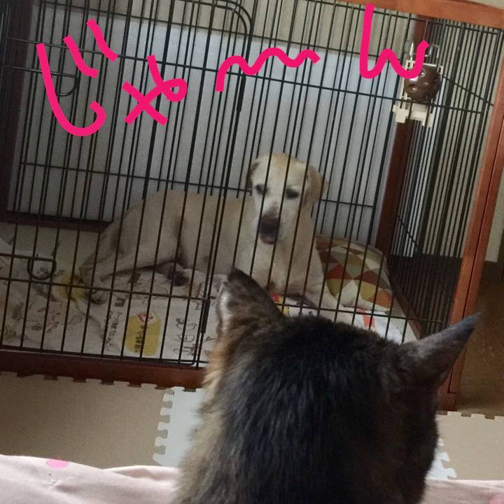 5b5b57e5 fba0 4326 b951 b4bc43530f9d