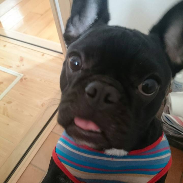 5b5b9900 544c 4f5c a78d 4931b28371b5