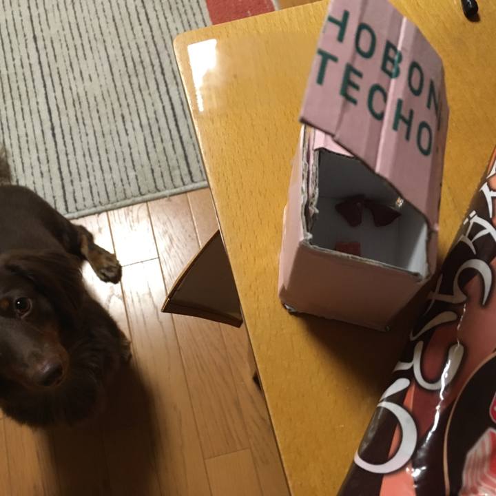 5b5c5062 5010 4da5 b985 6837818b018f