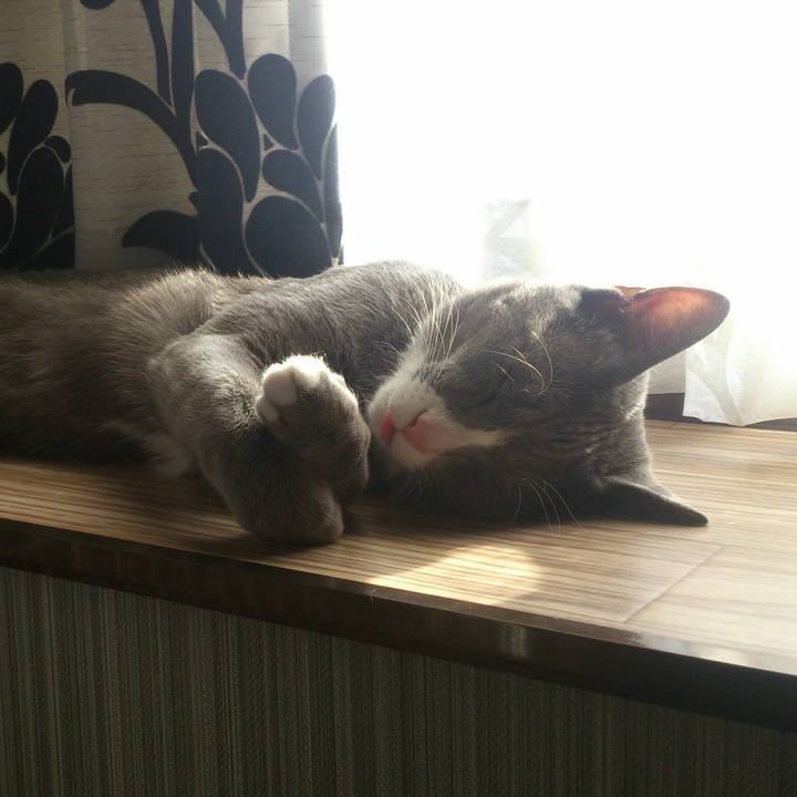 5b5cad82 d1c7 4ab4 b545 602f5882aa99