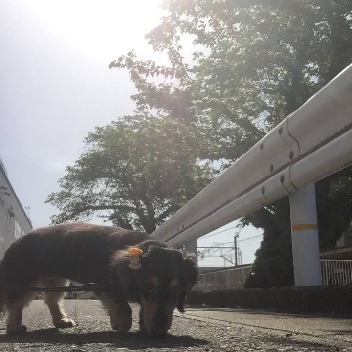 5b5ce1aa 9686 4131 be44 de655ca970f8