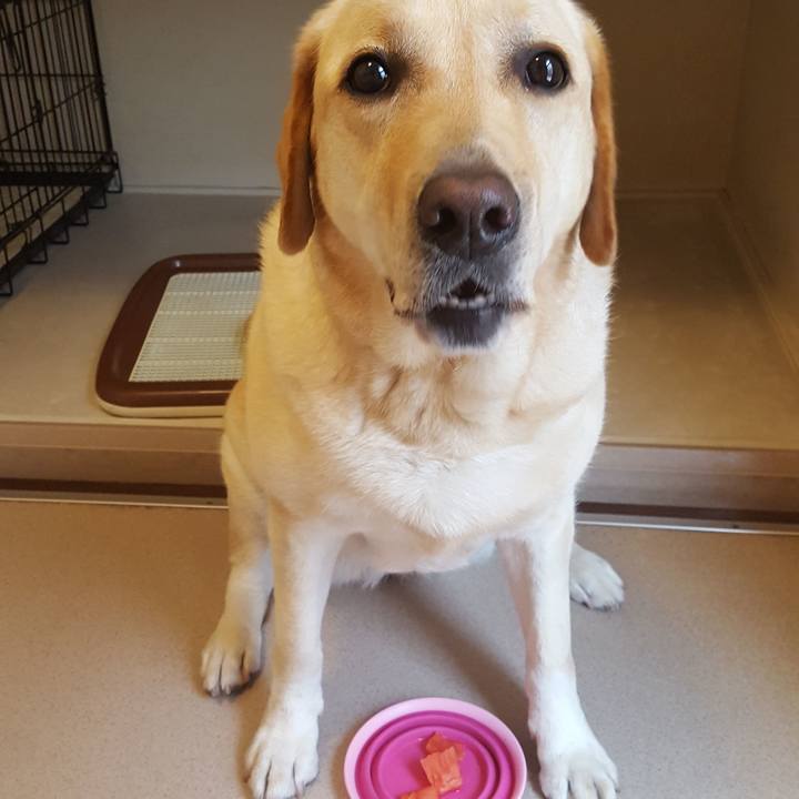 5b5cf242 77ce 482d 92ca aad4e63f9326