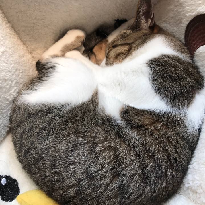 5b5cf467 6dea 4546 aa44 4cb4251a1755