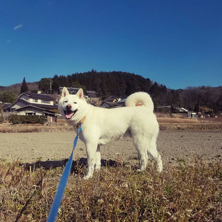 5b5d0be4 ec26 4fb7 981a 33ae69f700a9