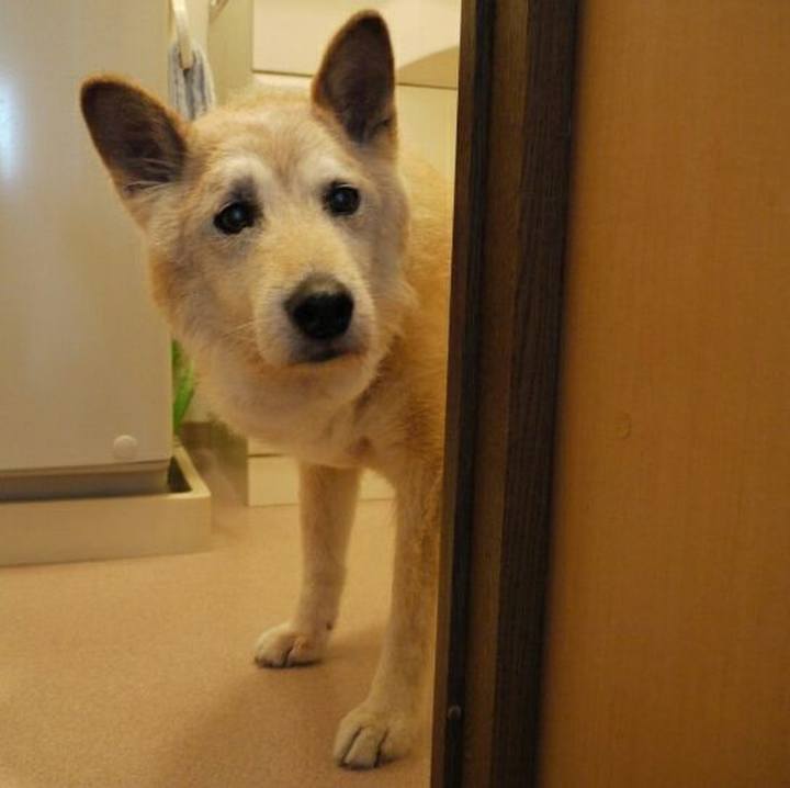 5b5d268f bf74 4882 8897 e8635e62ae2c