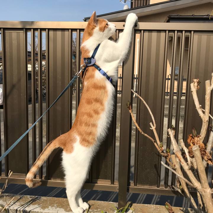 5b5e1593 920e 435e b73d 4e8f53ce7bb5