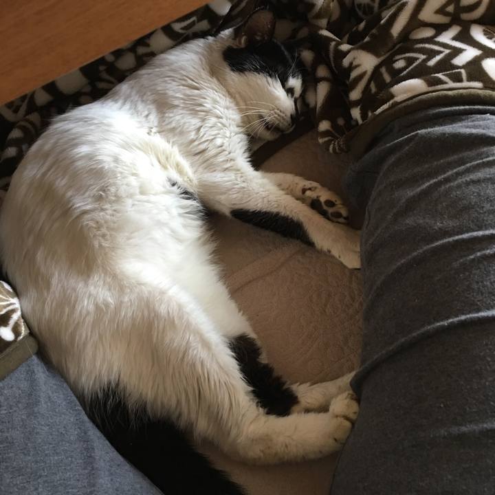 5b6014f8 9a68 4599 925a 6078f9d8a511