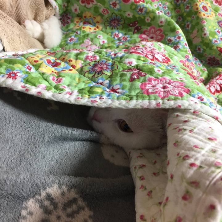 5b607b48 ebcd 4848 8f80 8045e4632000