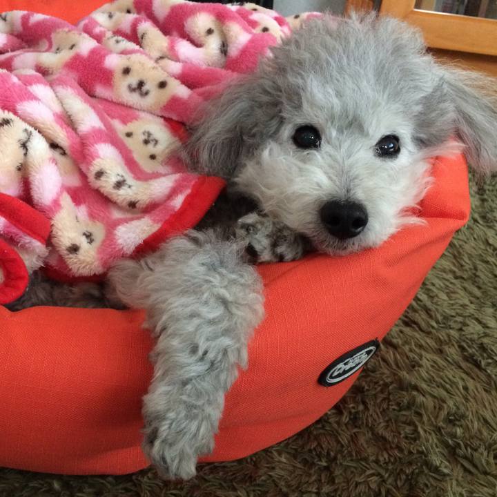 5b60973e 4628 4513 a047 74019d78f2d2