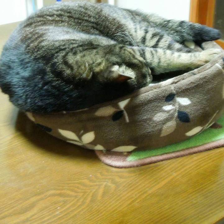 5b60aa67 4388 4cd8 b3d2 3c77ddea5267