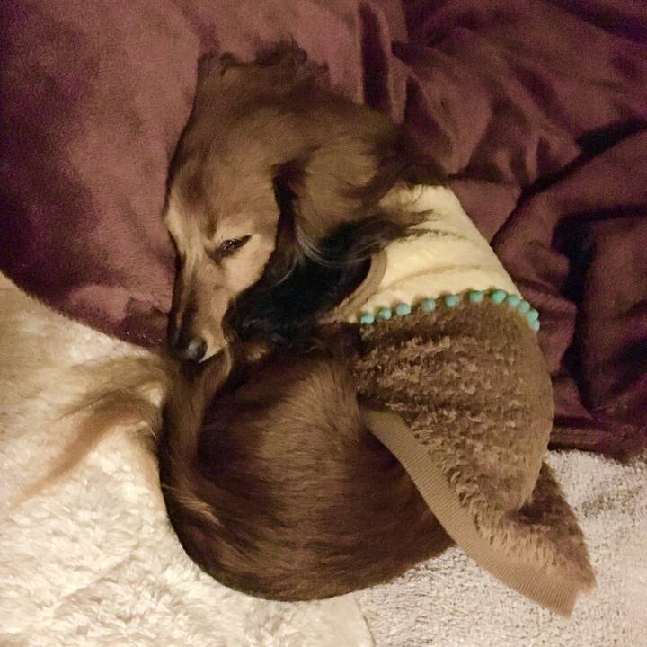 5b60f91d 296b 4010 bd03 e0f7255ac3b8