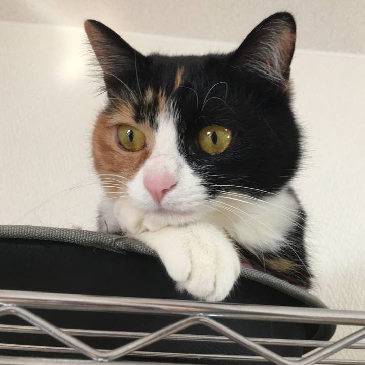 5b612821 410d 48ae 8a28 34f525e0b95e