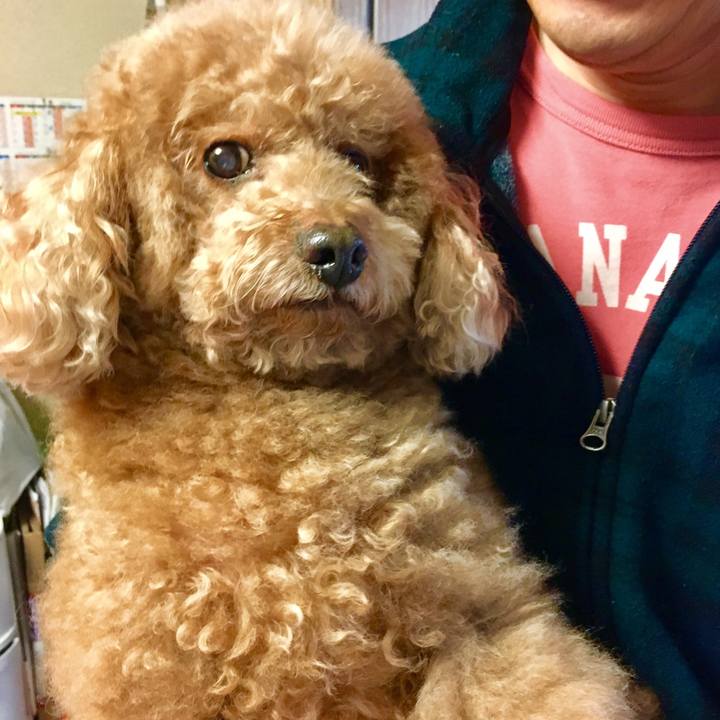 5b61d187 fd24 44f7 921e b4a08f00b767