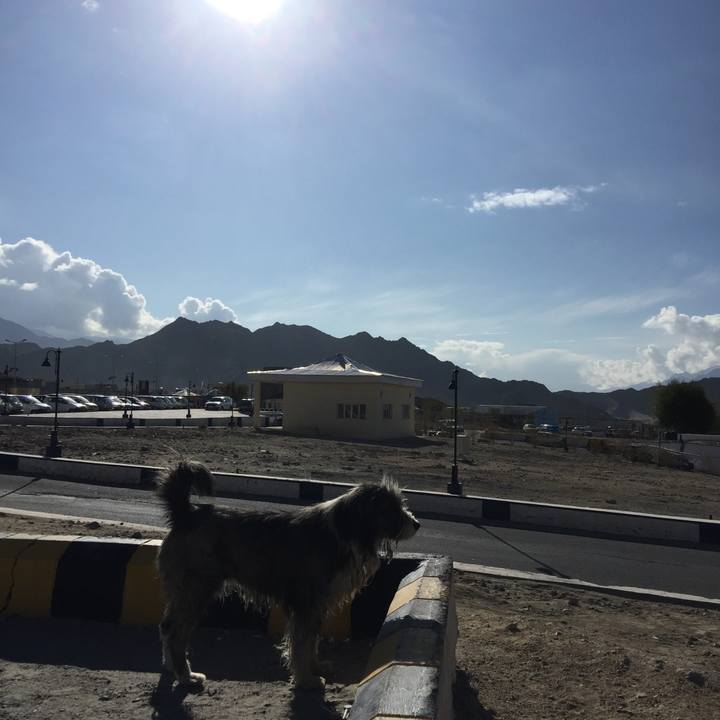 5b6288c5 f746 4708 a1ab c717b6d5604d