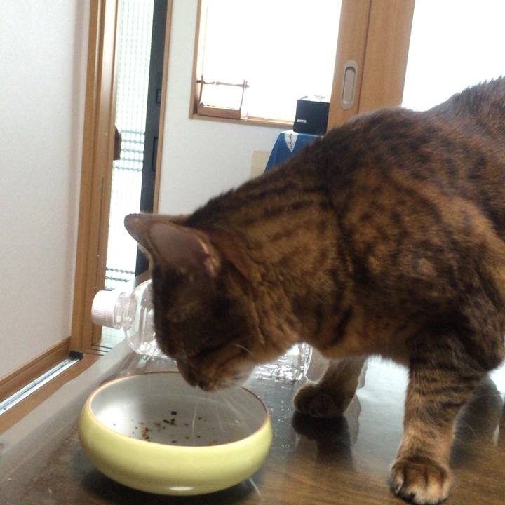 5b62ebfd af7d 41ec bd46 6dd4f54dddf3