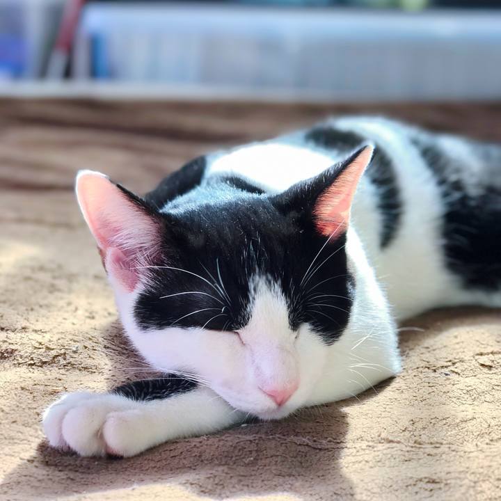 5b6337b1 cb3d 4043 a851 8b500c1d9849