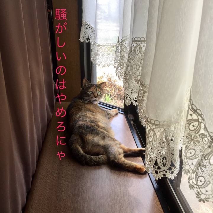 5b6389e1 3f89 4bda a138 27ab0c76d13e