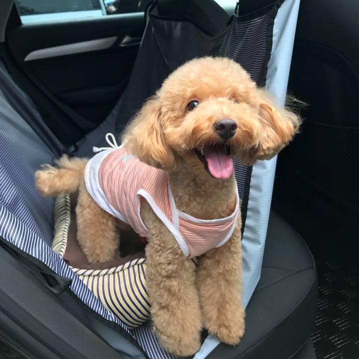 5b63ad50 5813 4b5b 913a 750c9f52d5e9