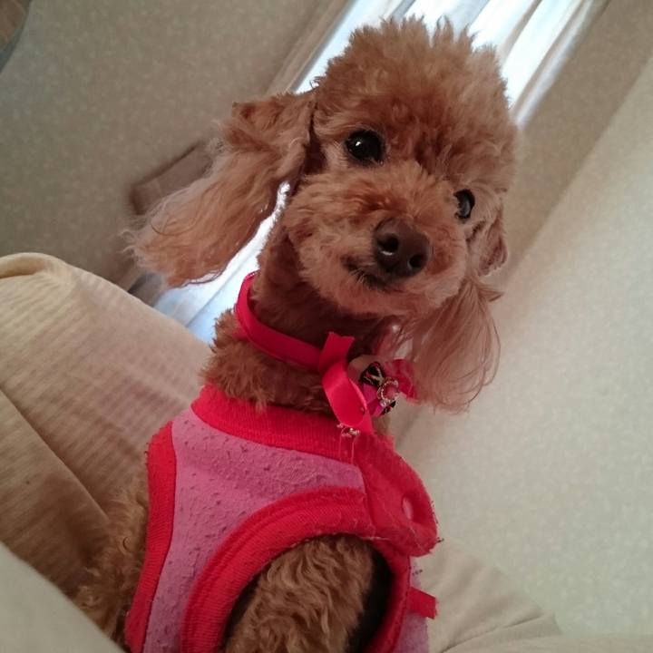 5b6401d7 8ed6 4d28 ae98 68aae7320ae9