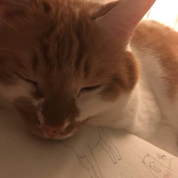 5b6429e7 ff15 4b26 ba1a ec167c51f5e6