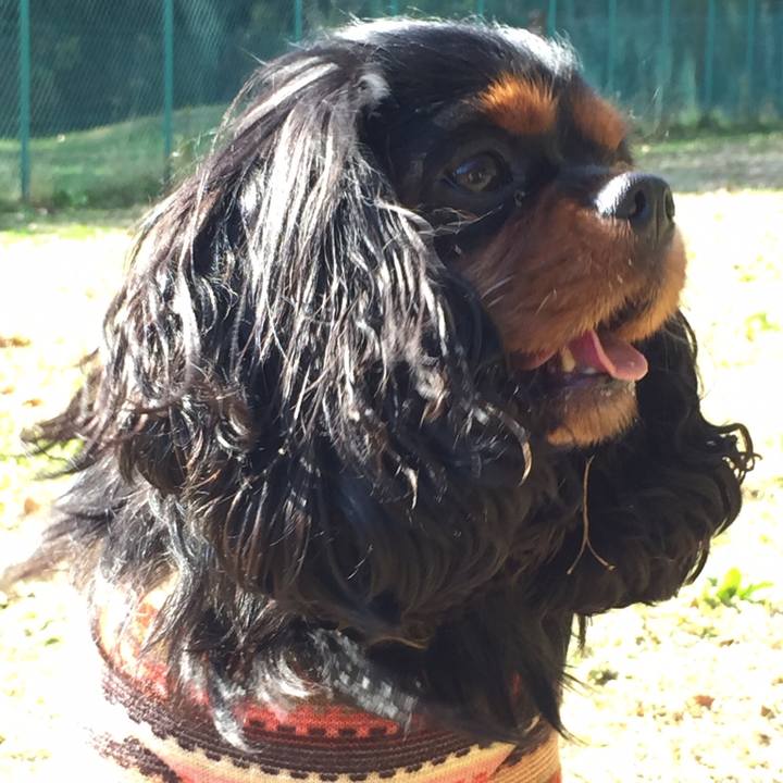 5b64837a 858a 40c0 9a09 8d832bc8cfad