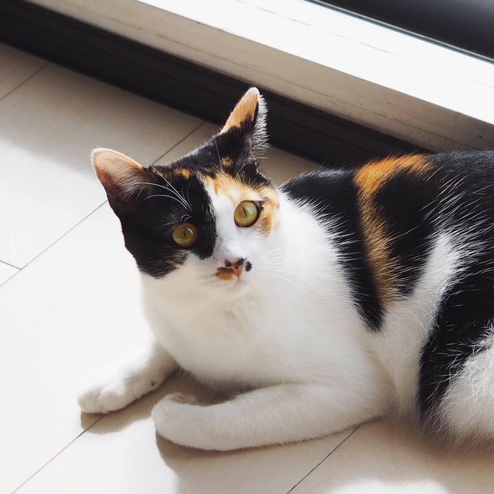 5b65934c 47ac 4882 862b c4600edde392