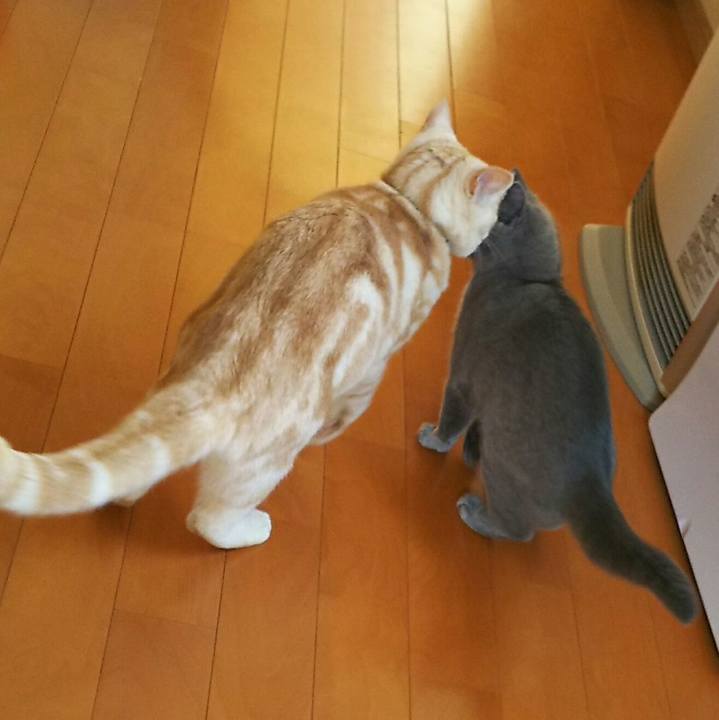 5b65bfed e9bf 4df9 8cb0 63c06e5b3aa5