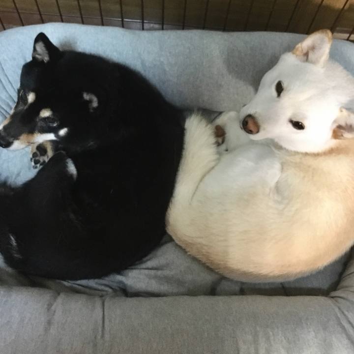 5b660cbf 2f38 4adc 9fe6 2f44125619f2