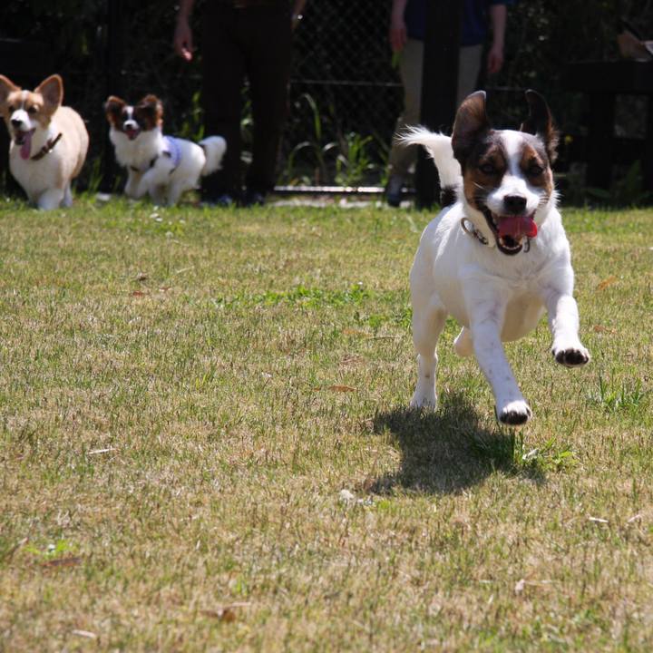 5b664994 f7b2 430c aa3f 37d8743e1c7c