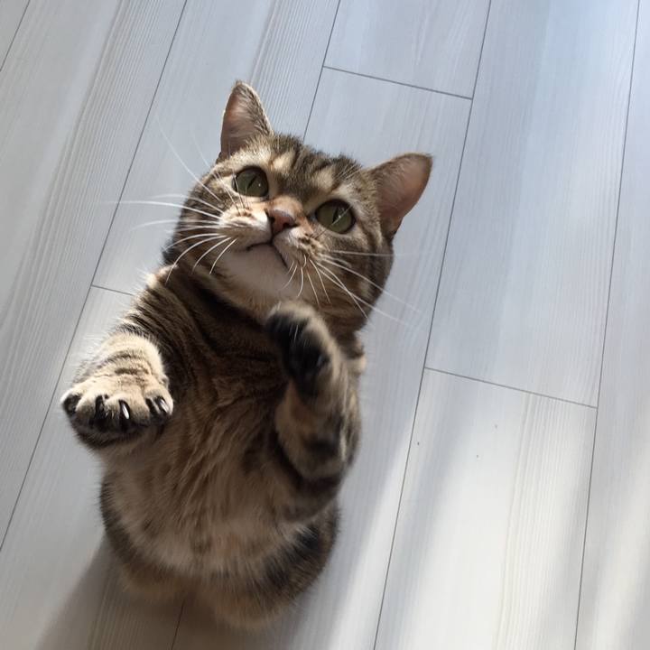 5b666458 c0ba 4a70 a788 0061459af100