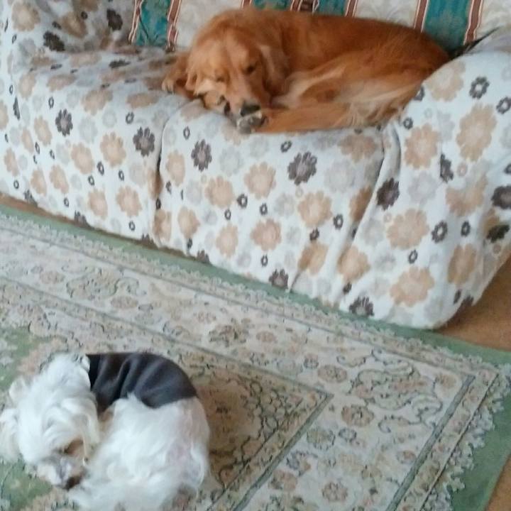 5b674c39 10f9 4e8f b779 9fb3753e3ab3