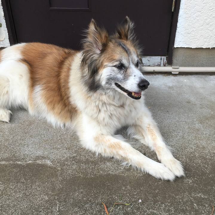 5b67beba 59df 489e 9abb 01242c4bfebf