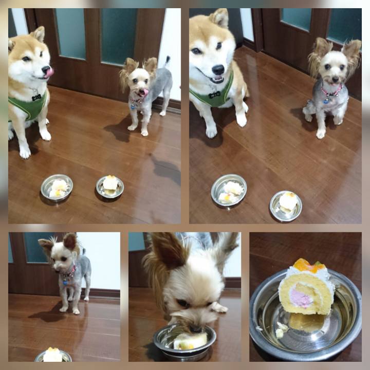 5b6834f8 92b9 4f3a 8232 1eadae22378a