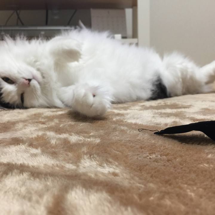 5b686b58 2106 4b53 a909 ab533e632d88