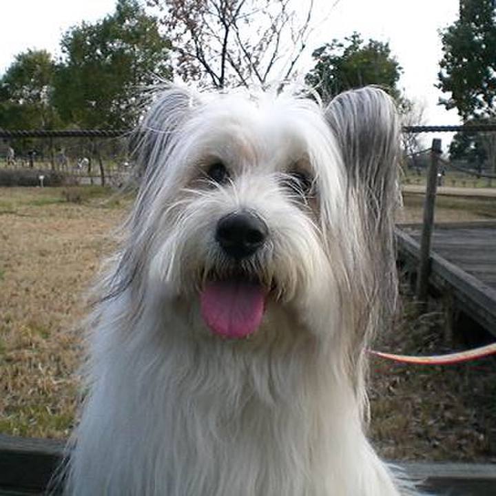 5b697c7a bd4e 4986 bb4b 5ad786971334