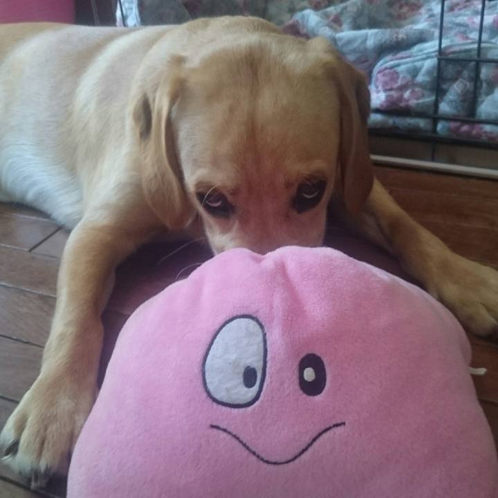 5b69feac 7d8f 4693 bac8 1d5e3df6ce81