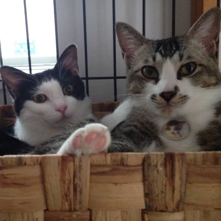 5b6a0c66 a1f1 4801 8c3a e1538aab31f2