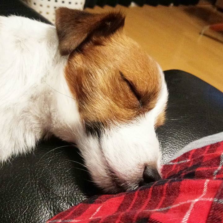 5b6a447e 8097 448a bd72 ab9b5b8cce50