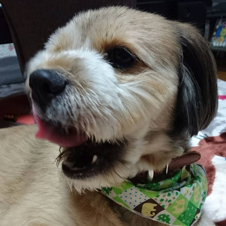 5b6b10f0 b2f3 4c6e 8d4a 7d116020aa92