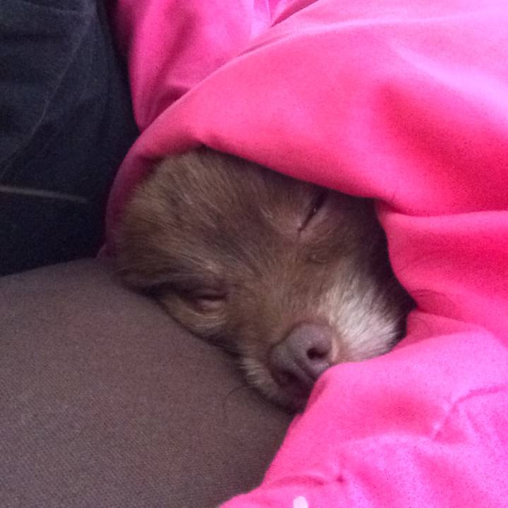 5b6c3b16 a460 45f5 b49d 775491ccc7a2