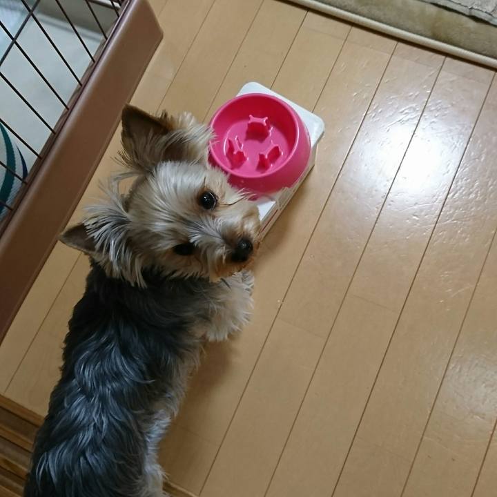 5b6cae3f 35f8 43de ac52 1985735a32d3