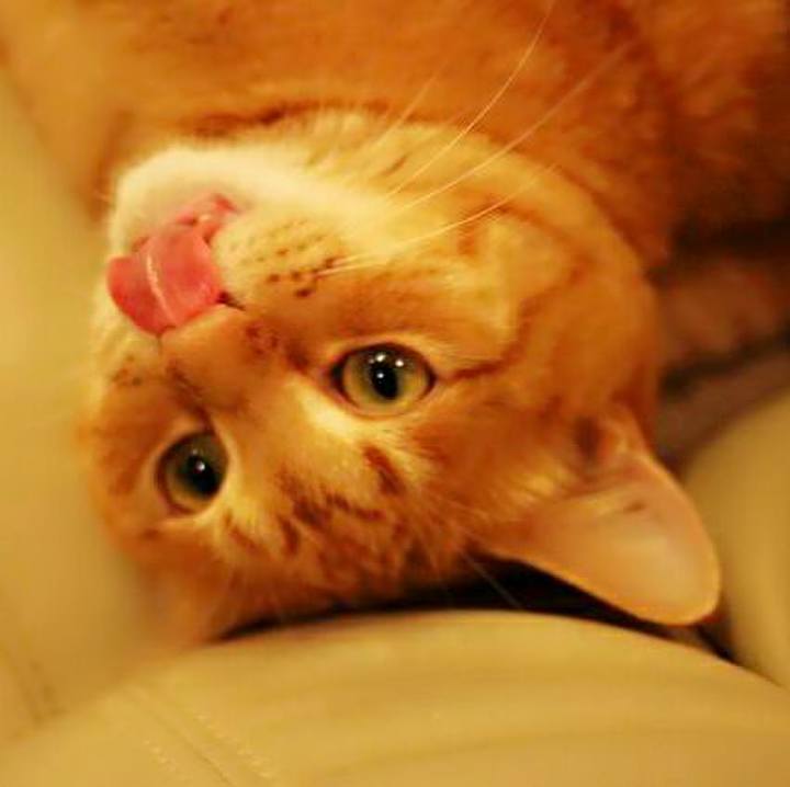 5b6cda19 628a 41e0 bd60 b2a6cf3e00da