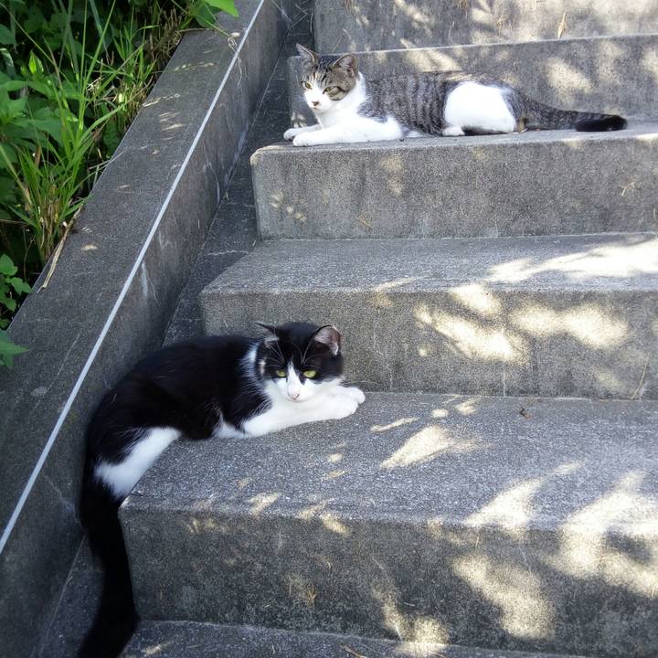 5b6d6df6 e1d8 4281 bee7 cf9dda129502