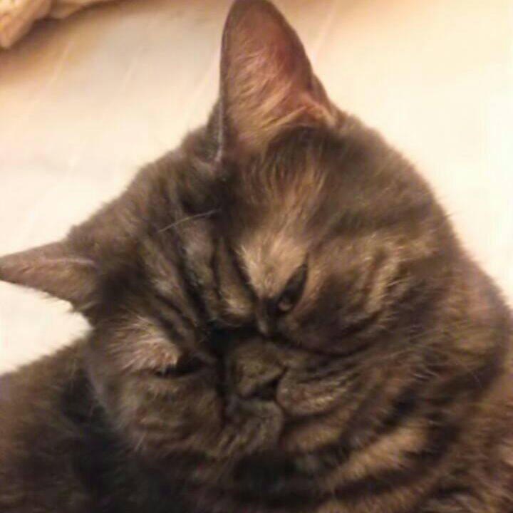 5b6ee794 2939 430a 86cb 33df4e0be6b4